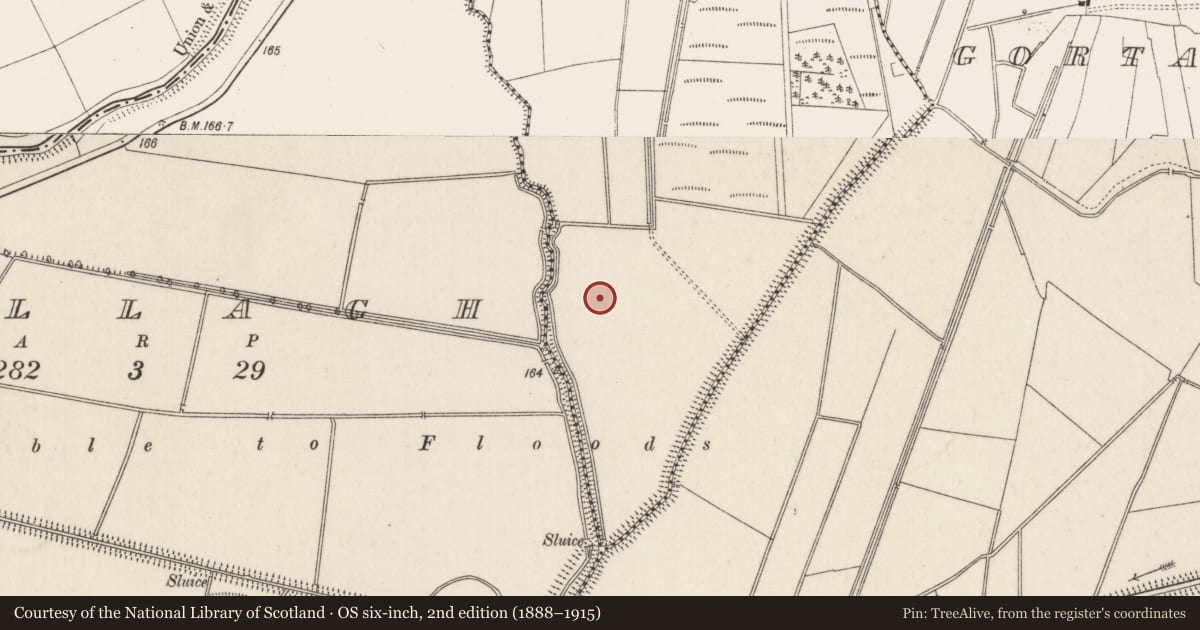 Ordnance Survey six-inch map, 2nd edition (1888–1915) covering the location of Enclosure, Castlegarde, County Limerick, with a pin at the register's coordinates