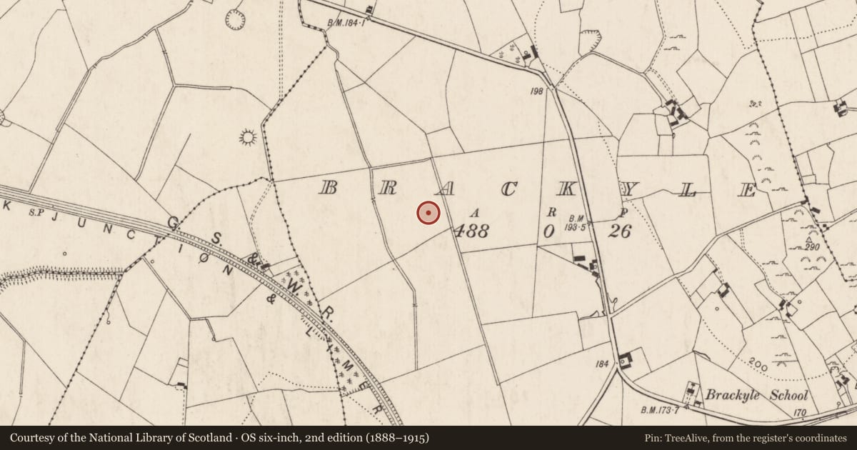 Ordnance Survey six-inch map, 2nd edition (1888–1915) covering the location of Barrow - ditch barrow, Brackyle, County Limerick, with a pin at the register's coordinates
