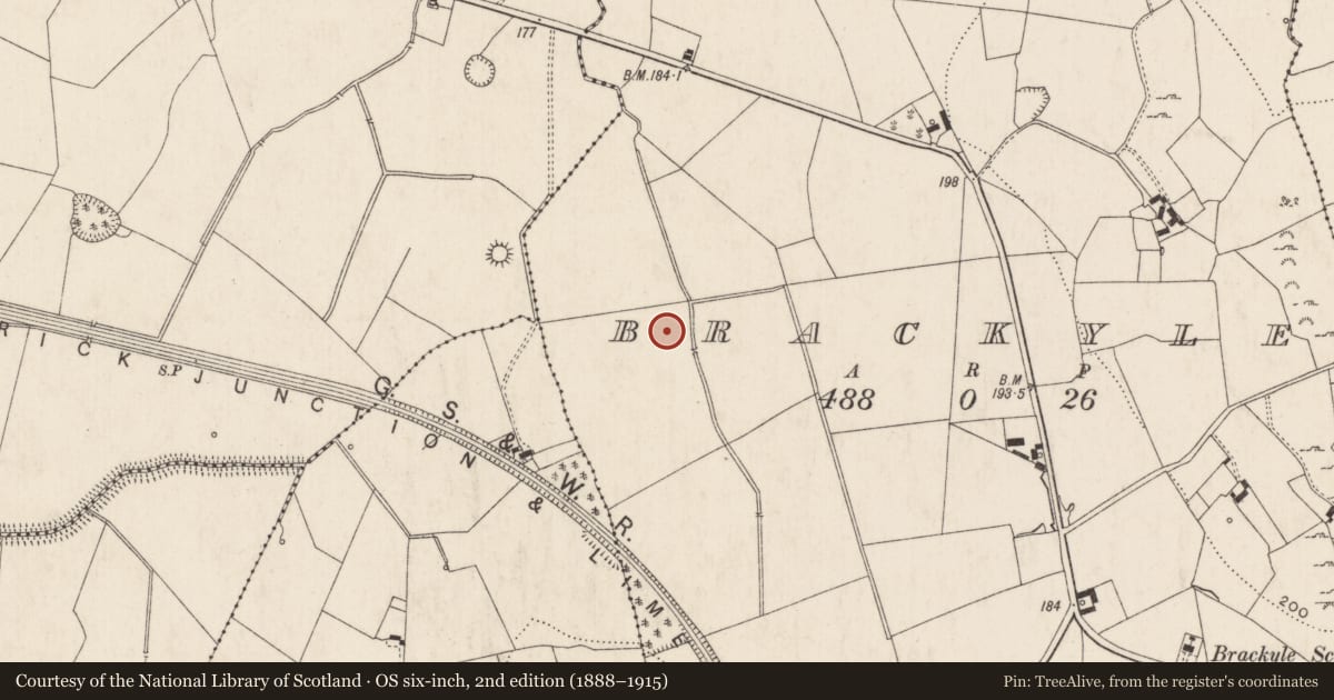 Ordnance Survey six-inch map, 2nd edition (1888–1915) covering the location of Barrow - ditch barrow, Brackyle, County Limerick, with a pin at the register's coordinates