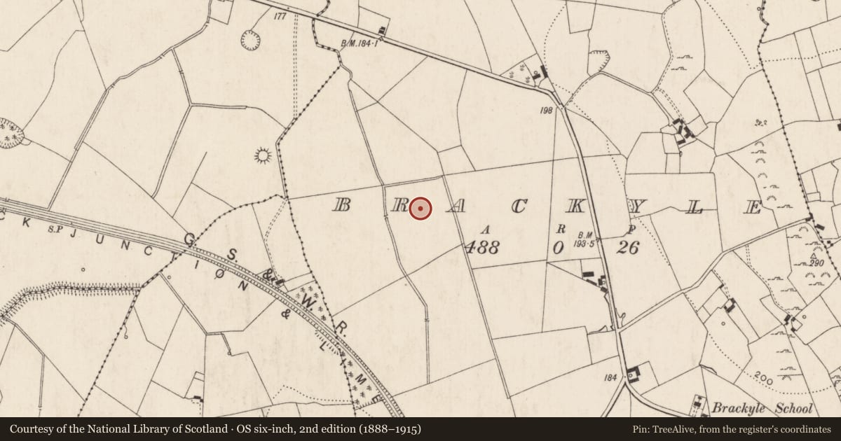 Ordnance Survey six-inch map, 2nd edition (1888–1915) covering the location of Barrow - ditch barrow, Brackyle, County Limerick, with a pin at the register's coordinates