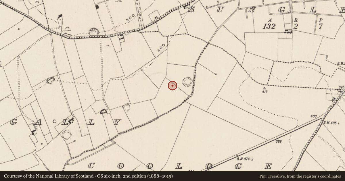 Ordnance Survey six-inch map, 2nd edition (1888–1915) covering the location of Barrow - ditch barrow, Ballynagally, County Limerick, with a pin at the register's coordinates