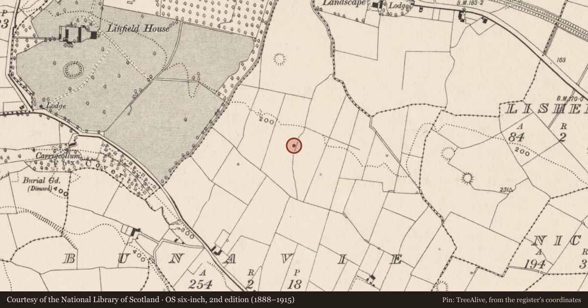 Ordnance Survey six-inch map, 2nd edition (1888–1915) covering the location of Enclosure, Bunavie, County Limerick, with a pin at the register's coordinates