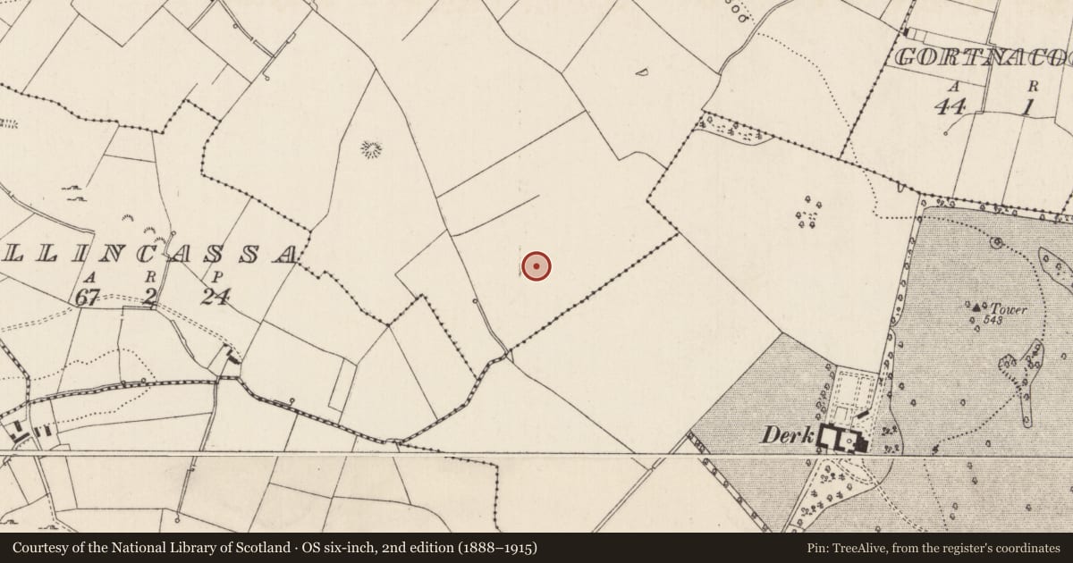 Ordnance Survey six-inch map, 2nd edition (1888–1915) covering the location of Barrow - ring-barrow, Cloghaderreen, County Limerick, with a pin at the register's coordinates