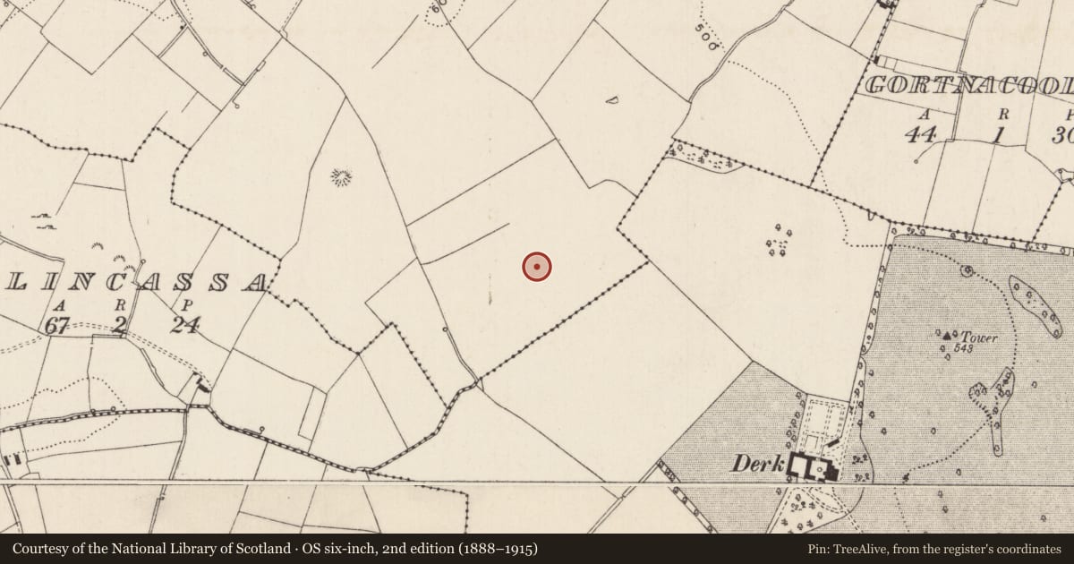 Ordnance Survey six-inch map, 2nd edition (1888–1915) covering the location of Barrow - ring-barrow, Cloghaderreen, County Limerick, with a pin at the register's coordinates
