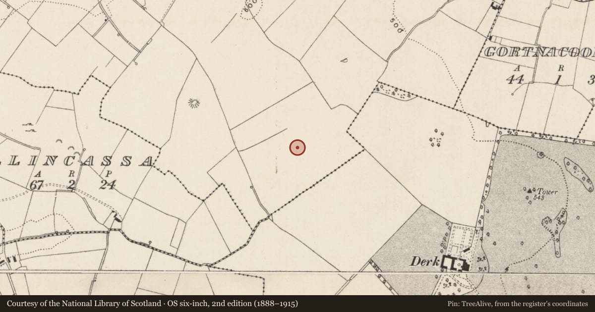 Ordnance Survey six-inch map, 2nd edition (1888–1915) covering the location of Barrow - ring-barrow, Cloghaderreen, County Limerick, with a pin at the register's coordinates