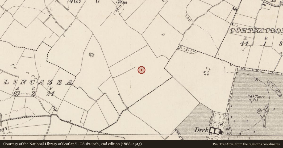 Ordnance Survey six-inch map, 2nd edition (1888–1915) covering the location of Barrow - ring-barrow, Cloghaderreen, County Limerick, with a pin at the register's coordinates