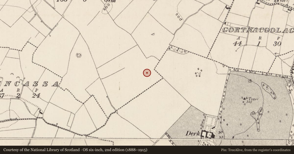Ordnance Survey six-inch map, 2nd edition (1888–1915) covering the location of Barrow - ring-barrow, Cloghaderreen, County Limerick, with a pin at the register's coordinates