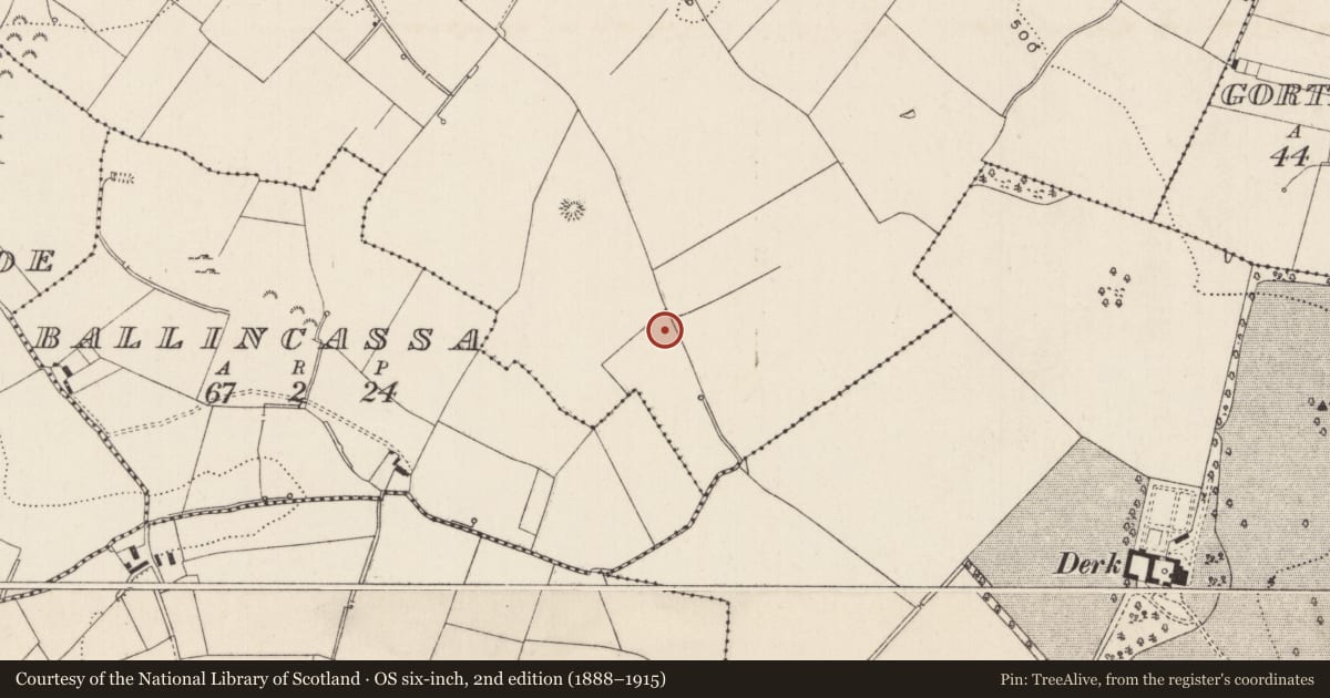 Ordnance Survey six-inch map, 2nd edition (1888–1915) covering the location of Barrow - ring-barrow, Cloghaderreen, County Limerick, with a pin at the register's coordinates