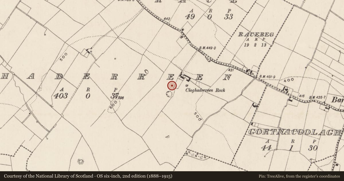 Ordnance Survey six-inch map, 2nd edition (1888–1915) covering the location of Barrow - ring-barrow, Cloghaderreen, County Limerick, with a pin at the register's coordinates