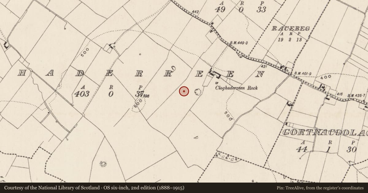 Ordnance Survey six-inch map, 2nd edition (1888–1915) covering the location of Barrow - ring-barrow, Cloghaderreen, County Limerick, with a pin at the register's coordinates