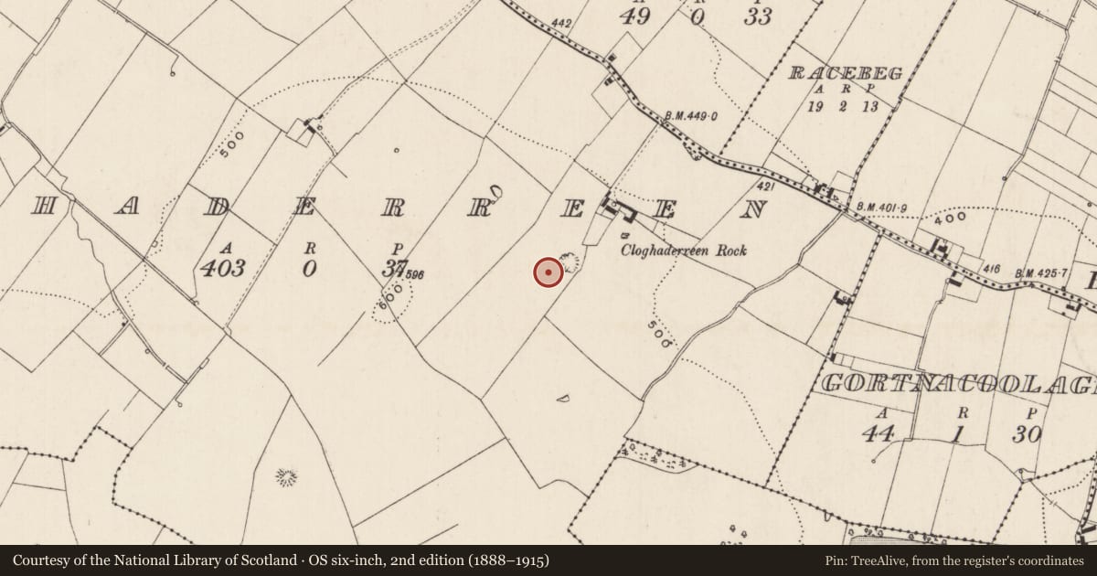 Ordnance Survey six-inch map, 2nd edition (1888–1915) covering the location of Barrow - ring-barrow, Cloghaderreen, County Limerick, with a pin at the register's coordinates