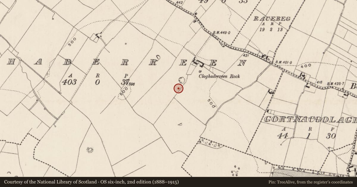 Ordnance Survey six-inch map, 2nd edition (1888–1915) covering the location of Barrow - ring-barrow, Cloghaderreen, County Limerick, with a pin at the register's coordinates