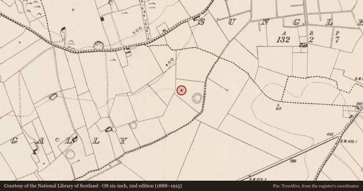 Ordnance Survey six-inch map, 2nd edition (1888–1915) covering the location of Barrow - ring-barrow, Ballynagally, County Limerick, with a pin at the register's coordinates