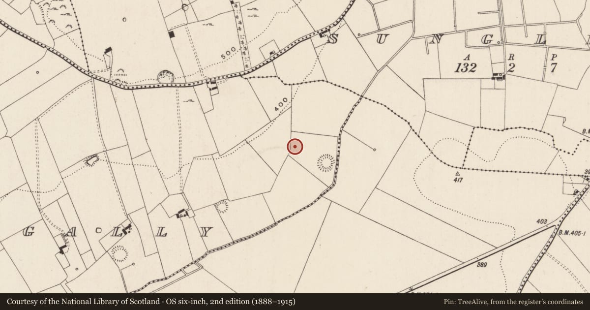 Ordnance Survey six-inch map, 2nd edition (1888–1915) covering the location of Barrow - ring-barrow, Ballynagally, County Limerick, with a pin at the register's coordinates