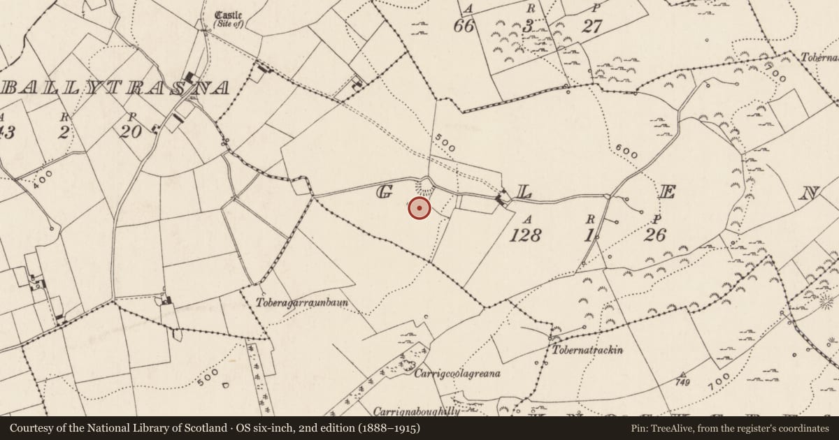Ordnance Survey six-inch map, 2nd edition (1888–1915) covering the location of Barrow - ditch barrow, Glen, County Limerick, with a pin at the register's coordinates