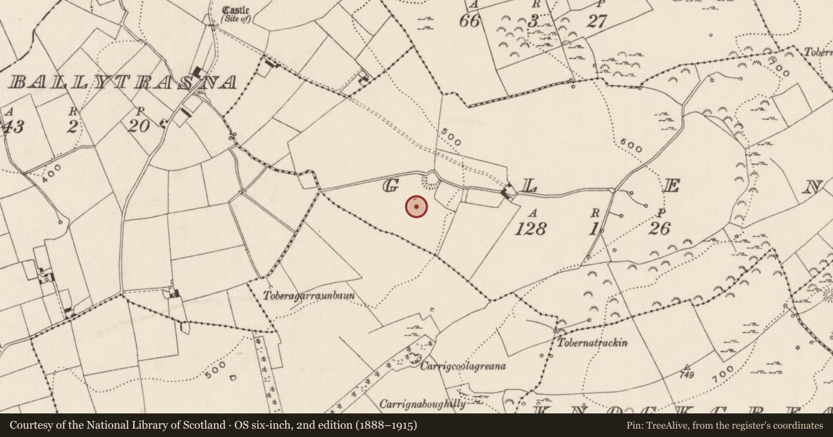 Ordnance Survey six-inch map, 2nd edition (1888–1915) covering the location of Barrow - ditch barrow, Glen, County Limerick, with a pin at the register's coordinates