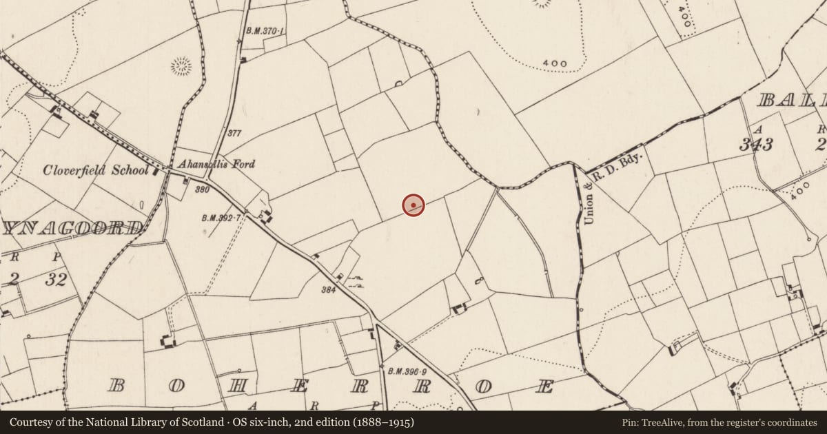 Ordnance Survey six-inch map, 2nd edition (1888–1915) covering the location of Barrow - ditch barrow, Boherroe, County Limerick, with a pin at the register's coordinates