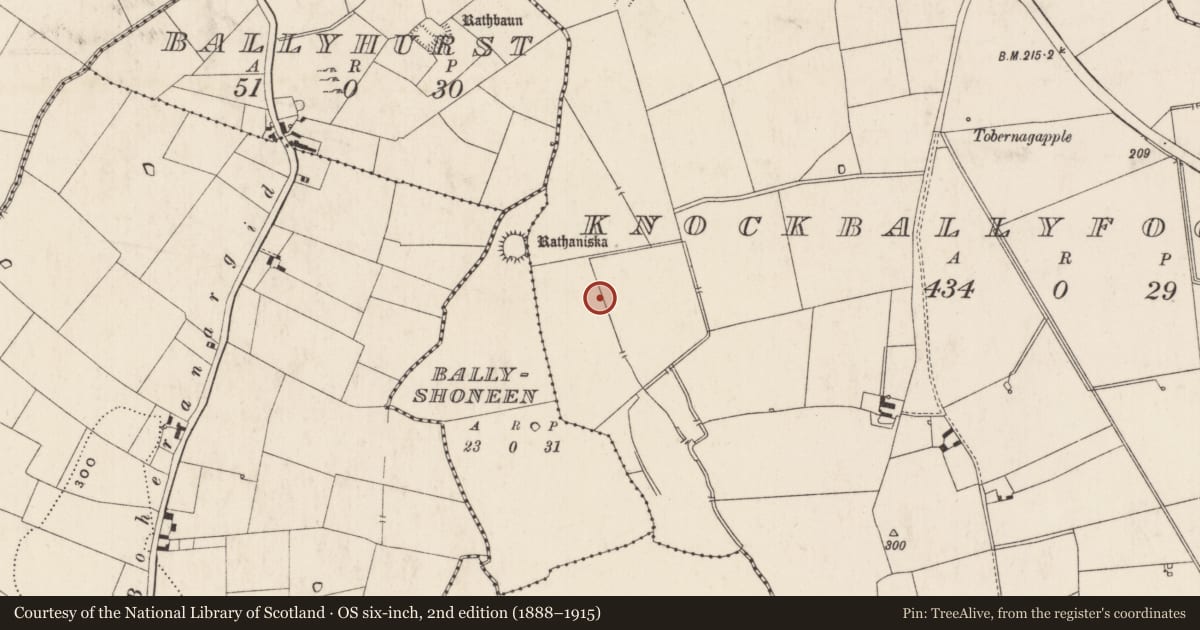 Ordnance Survey six-inch map, 2nd edition (1888–1915) covering the location of Enclosure, Knockballyfookeen, County Limerick, with a pin at the register's coordinates