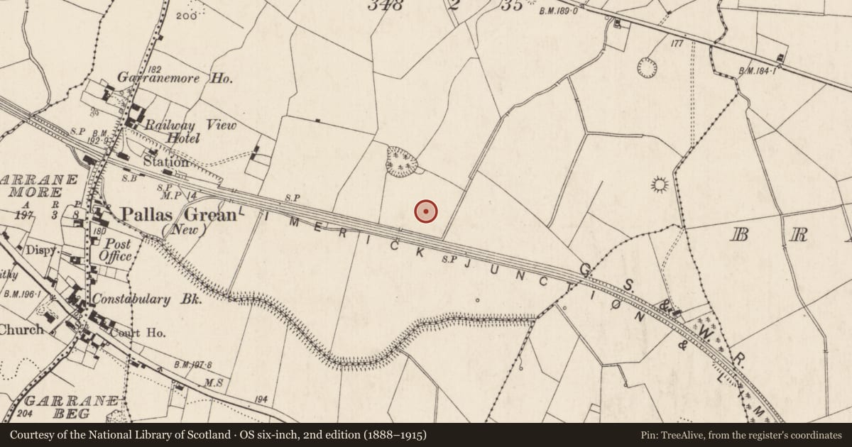 Ordnance Survey six-inch map, 2nd edition (1888–1915) covering the location of Barrow - ditch barrow, Dromlara, County Limerick, with a pin at the register's coordinates