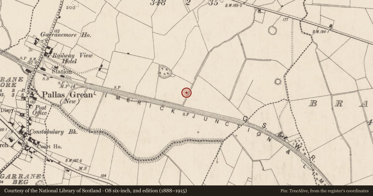 Ordnance Survey six-inch map, 2nd edition (1888–1915) covering the location of Barrow - ditch barrow, Dromlara, County Limerick, with a pin at the register's coordinates