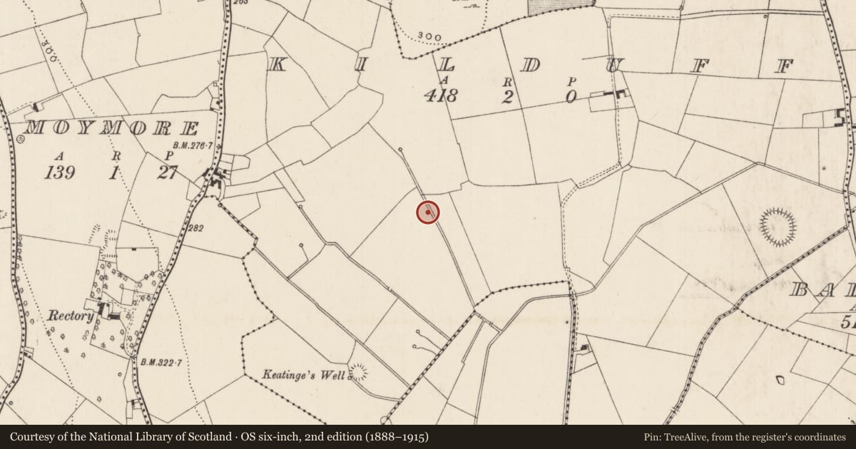 Ordnance Survey six-inch map, 2nd edition (1888–1915) covering the location of Barrow - ditch barrow, Kilduff, County Limerick, with a pin at the register's coordinates