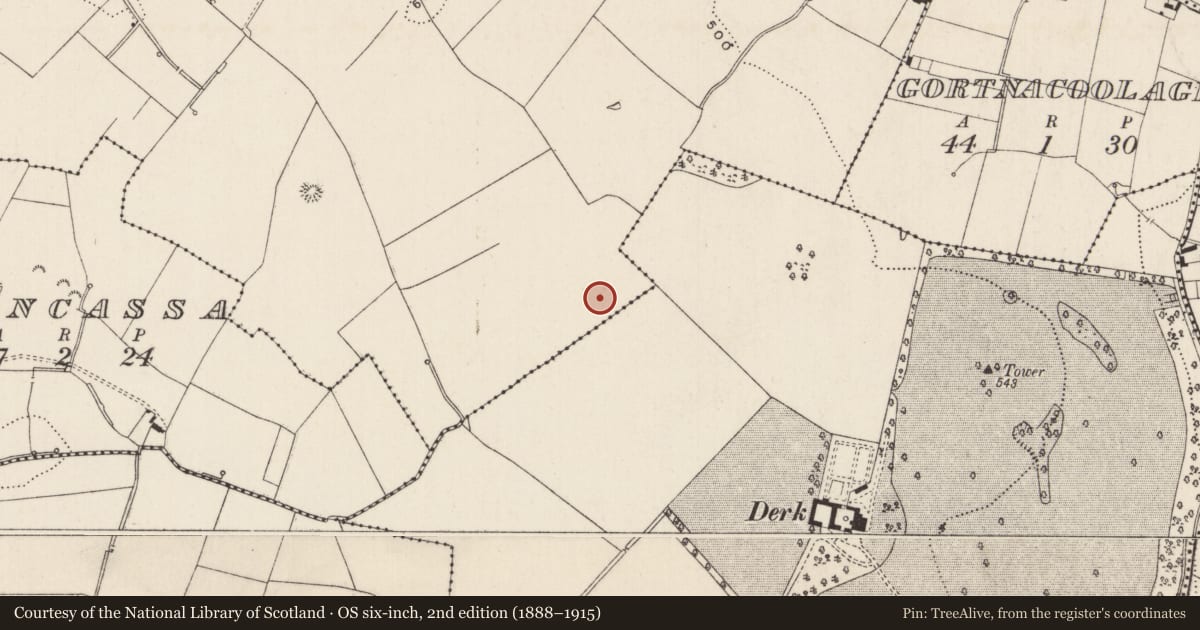 Ordnance Survey six-inch map, 2nd edition (1888–1915) covering the location of Barrow - ditch barrow, Cloghaderreen, County Limerick, with a pin at the register's coordinates