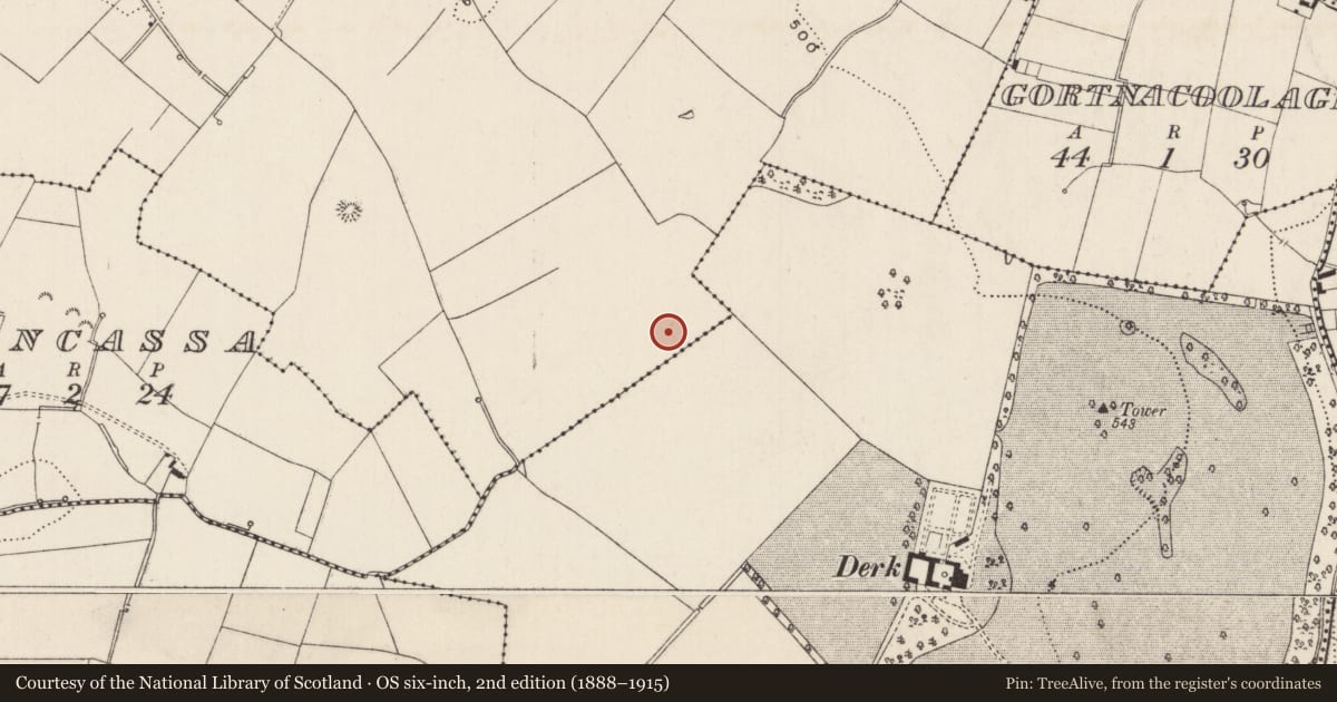 Ordnance Survey six-inch map, 2nd edition (1888–1915) covering the location of Barrow - ditch barrow, Cloghaderreen, County Limerick, with a pin at the register's coordinates