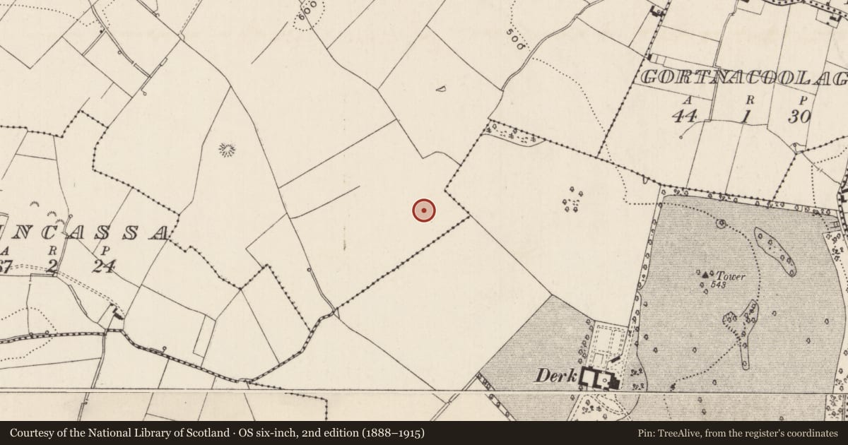 Ordnance Survey six-inch map, 2nd edition (1888–1915) covering the location of Barrow - ditch barrow, Cloghaderreen, County Limerick, with a pin at the register's coordinates
