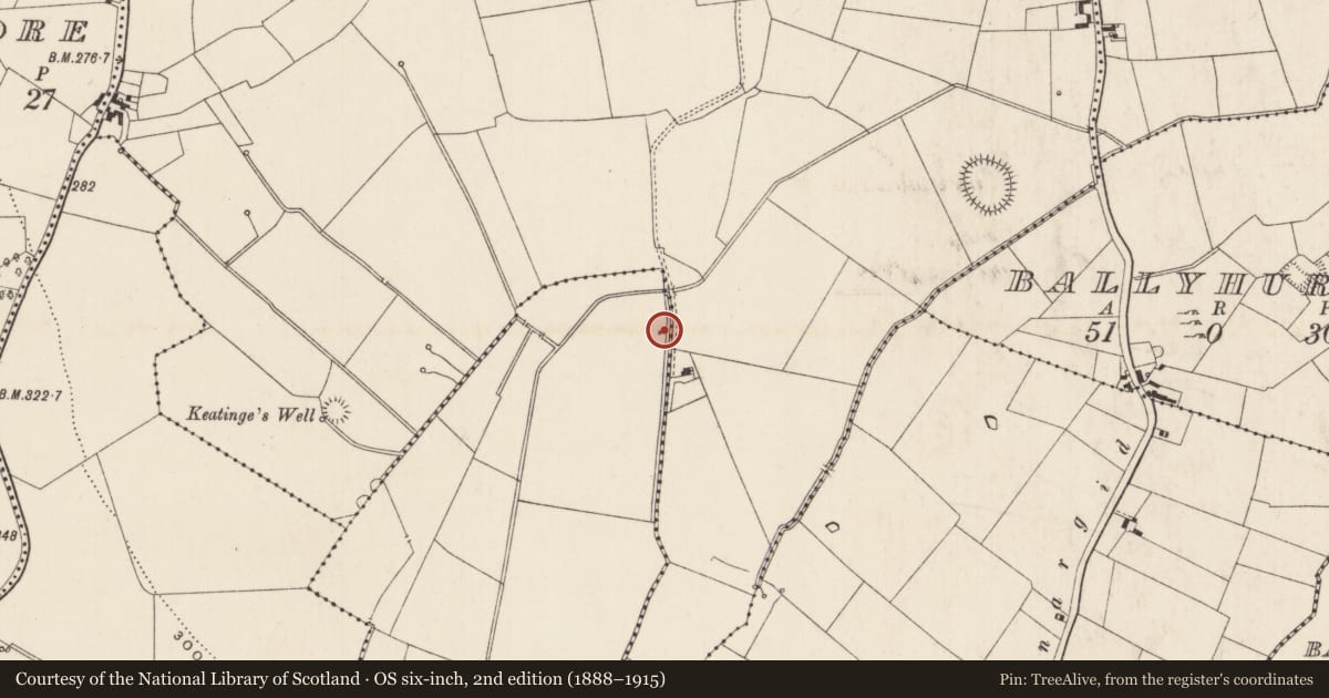 Ordnance Survey six-inch map, 2nd edition (1888–1915) covering the location of Ring-ditch, Garrison, County Limerick, with a pin at the register's coordinates