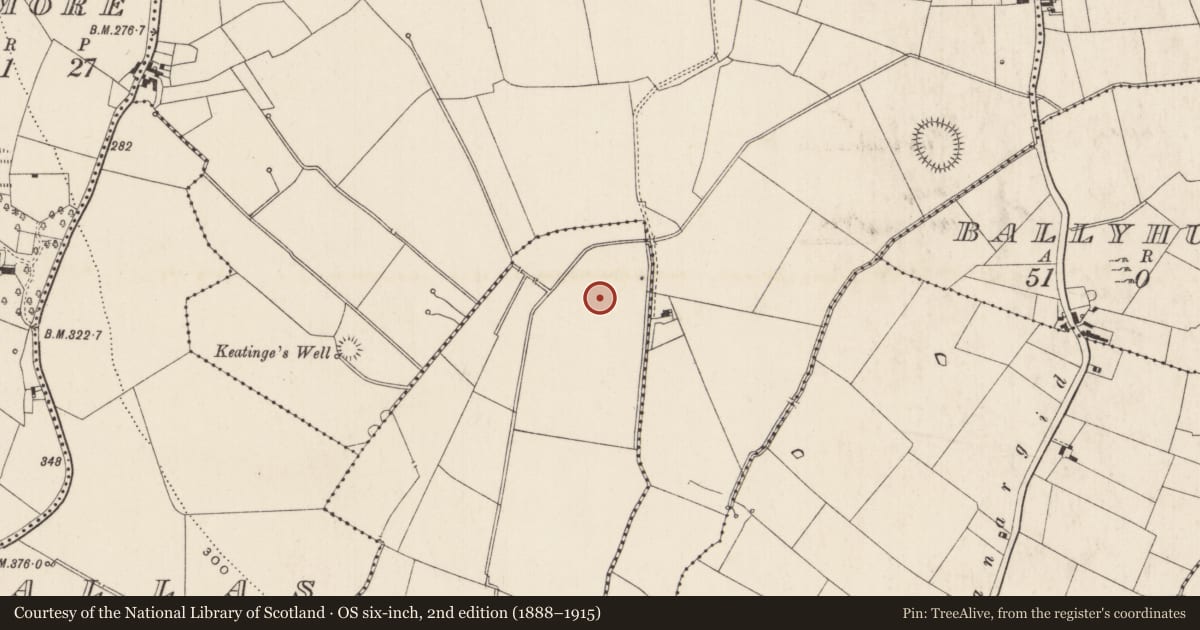 Ordnance Survey six-inch map, 2nd edition (1888–1915) covering the location of Ring-ditch, Garrison, County Limerick, with a pin at the register's coordinates
