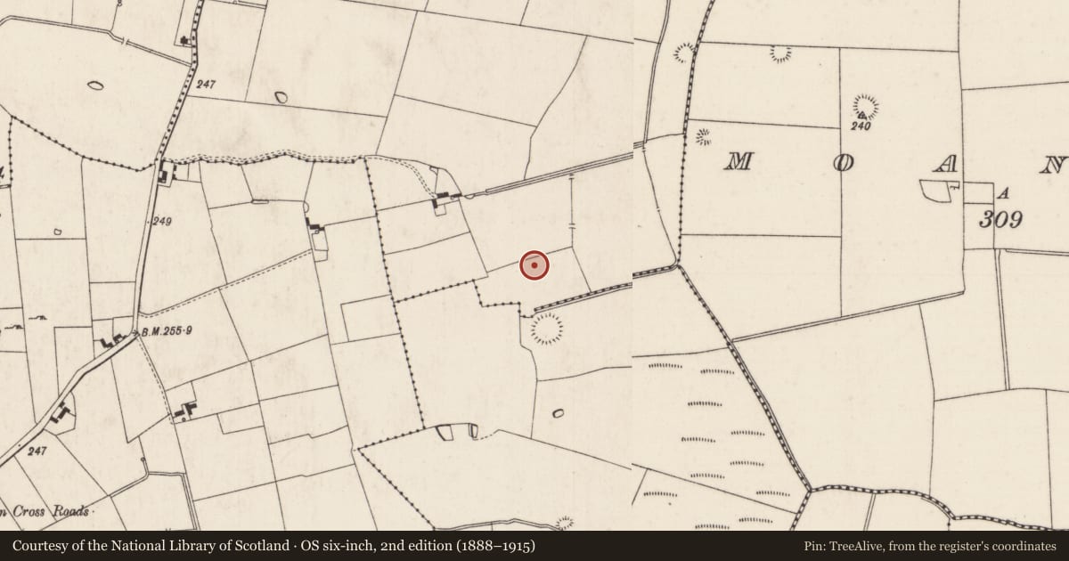 Ordnance Survey six-inch map, 2nd edition (1888–1915) covering the location of Earthwork, Ballyvalode, County Limerick, with a pin at the register's coordinates