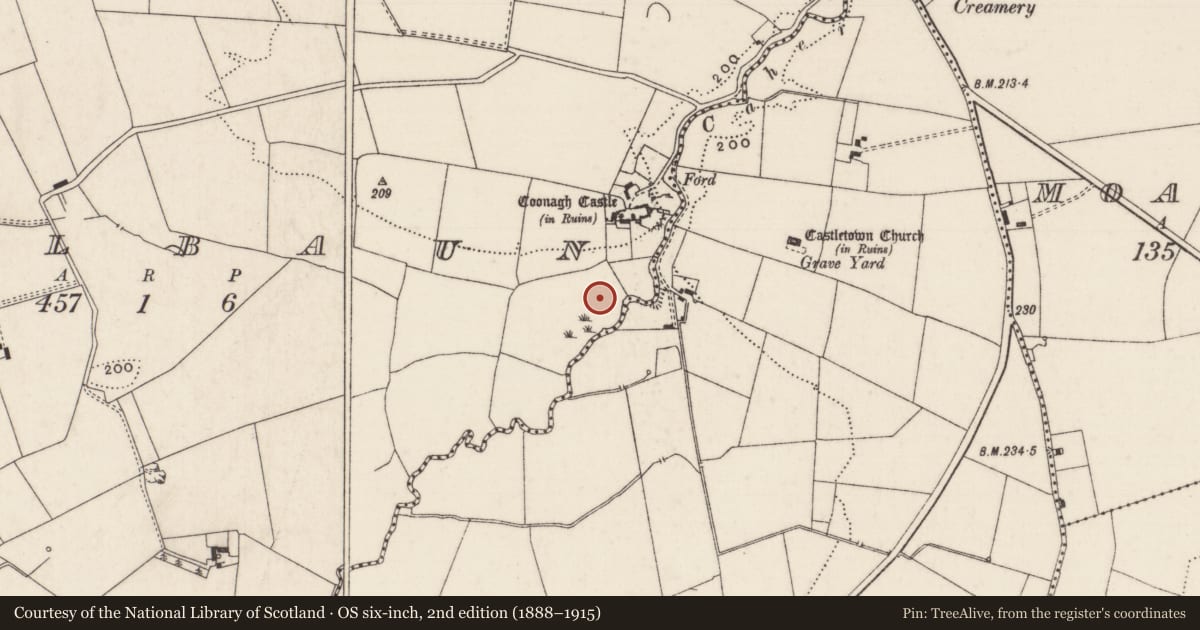 Ordnance Survey six-inch map, 2nd edition (1888–1915) covering the location of Water mill - unclassified, Coolbaun, County Limerick, with a pin at the register's coordinates