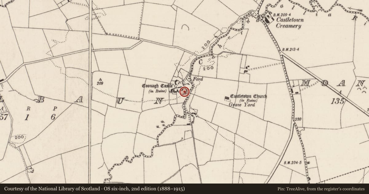 Ordnance Survey six-inch map, 2nd edition (1888–1915) covering the location of Castle - ringwork, Coolbaun, County Limerick, with a pin at the register's coordinates