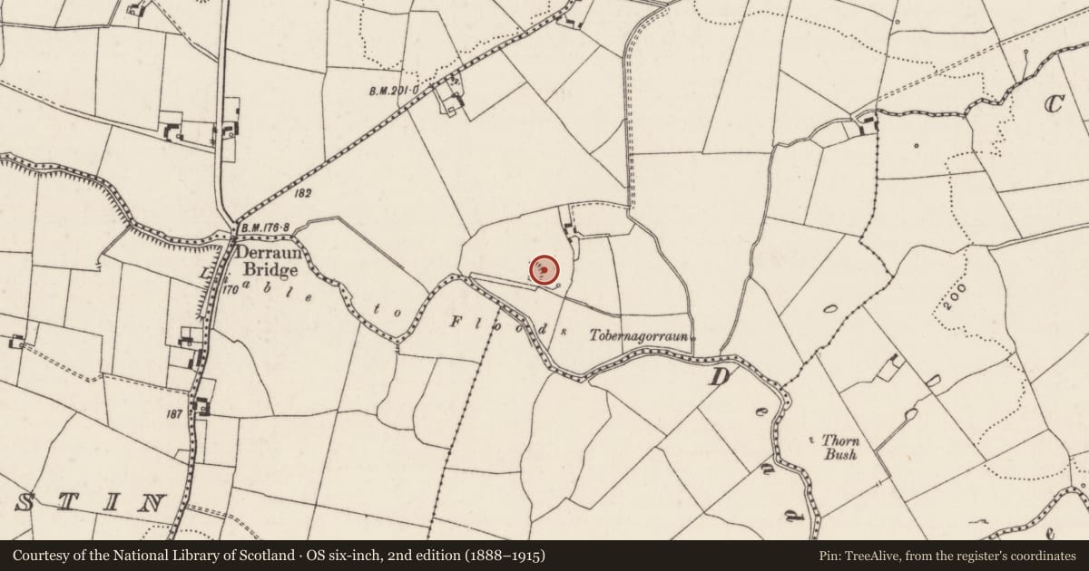 Ordnance Survey six-inch map, 2nd edition (1888–1915) covering the location of Burial ground, Carrig More, County Limerick, with a pin at the register's coordinates
