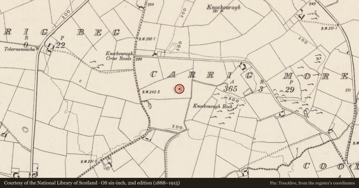 Ordnance Survey six-inch map, 2nd edition (1888–1915) covering the location of Ringfort - rath, Carrig More, County Limerick, with a pin at the register's coordinates