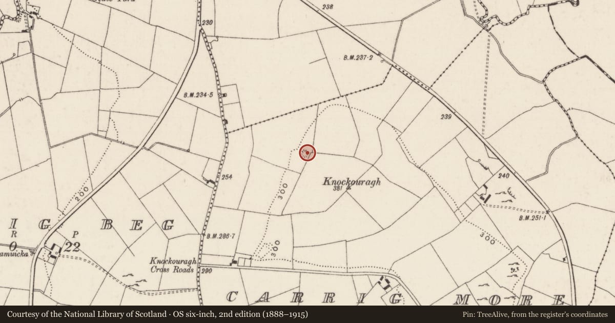 Ordnance Survey six-inch map, 2nd edition (1888–1915) covering the location of Earthwork, Carrig More, County Limerick, with a pin at the register's coordinates