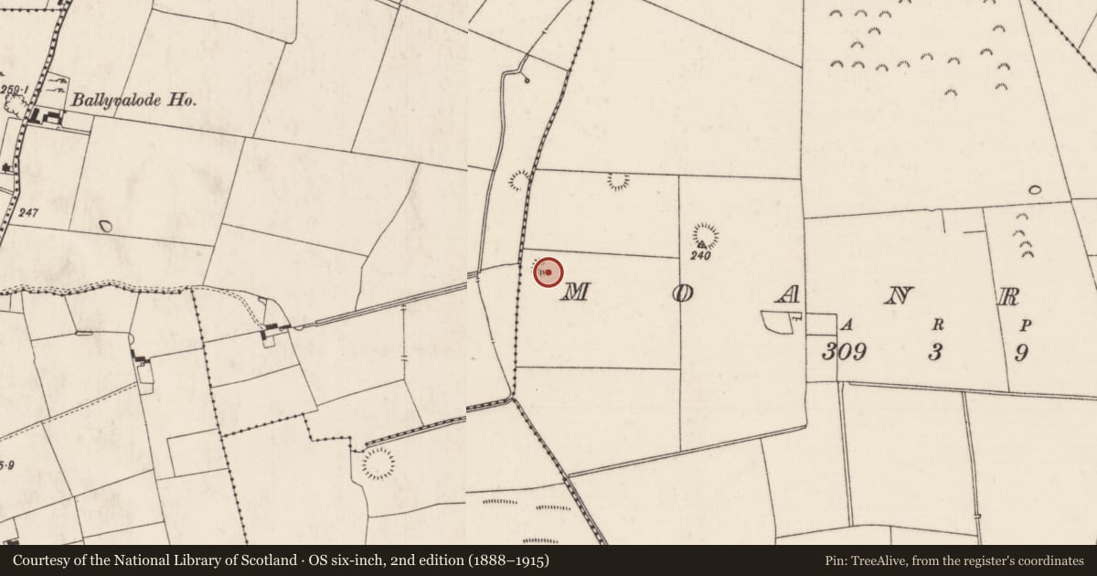 Ordnance Survey six-inch map, 2nd edition (1888–1915) covering the location of Enclosure, Moanroe, County Limerick, with a pin at the register's coordinates