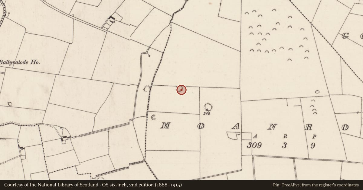 Ordnance Survey six-inch map, 2nd edition (1888–1915) covering the location of Earthwork, Moanroe, County Limerick, with a pin at the register's coordinates