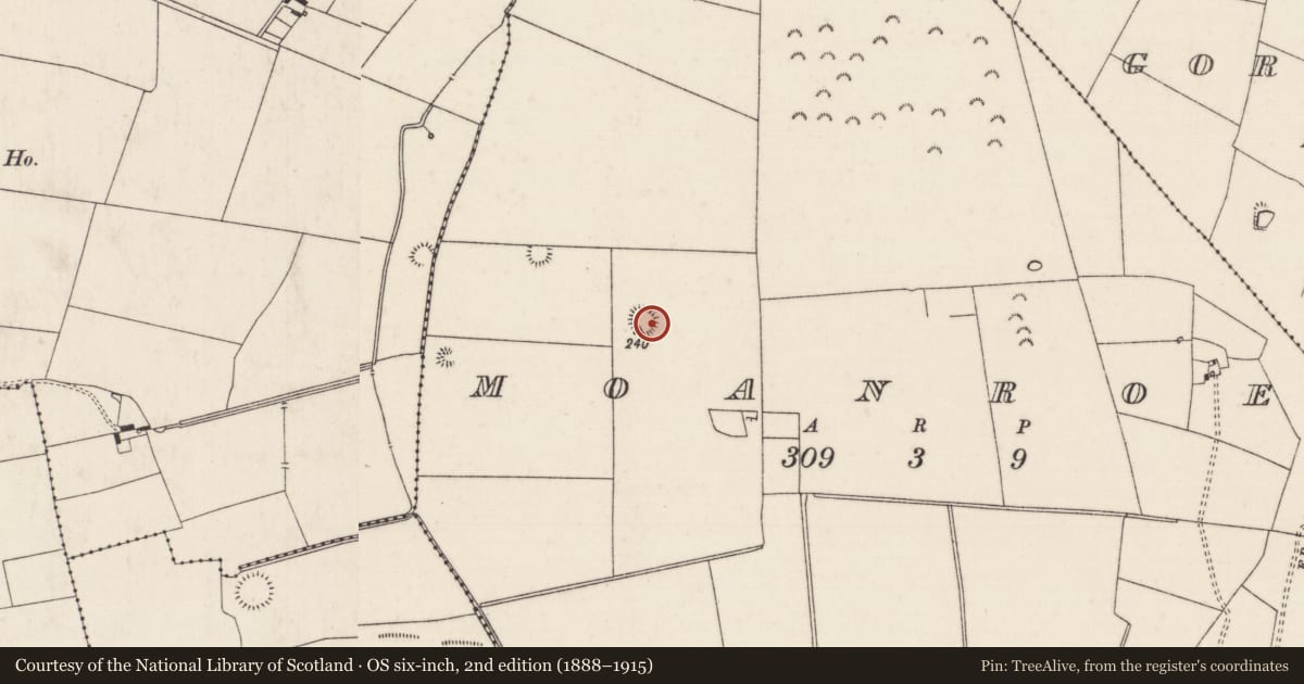 Ordnance Survey six-inch map, 2nd edition (1888–1915) covering the location of Ringfort - rath, Moanroe, County Limerick, with a pin at the register's coordinates