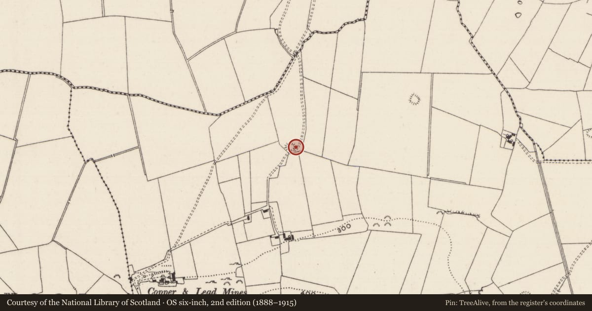 Ordnance Survey six-inch map, 2nd edition (1888–1915) covering the location of Earthwork, Oolahills East, County Limerick, with a pin at the register's coordinates