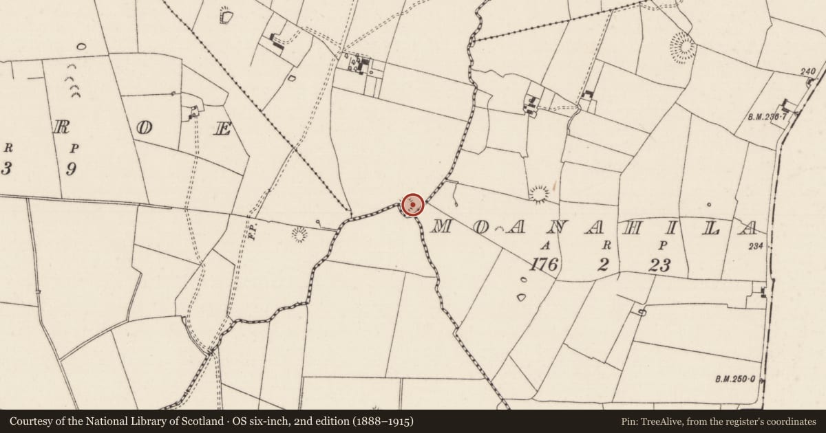 Ordnance Survey six-inch map, 2nd edition (1888–1915) covering the location of Earthwork, Gortyvahane, County Limerick, with a pin at the register's coordinates