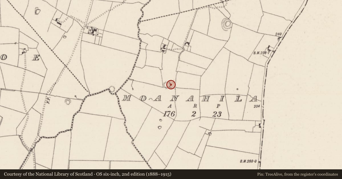 Ordnance Survey six-inch map, 2nd edition (1888–1915) covering the location of Ringfort - rath, Moanahila, County Limerick, with a pin at the register's coordinates
