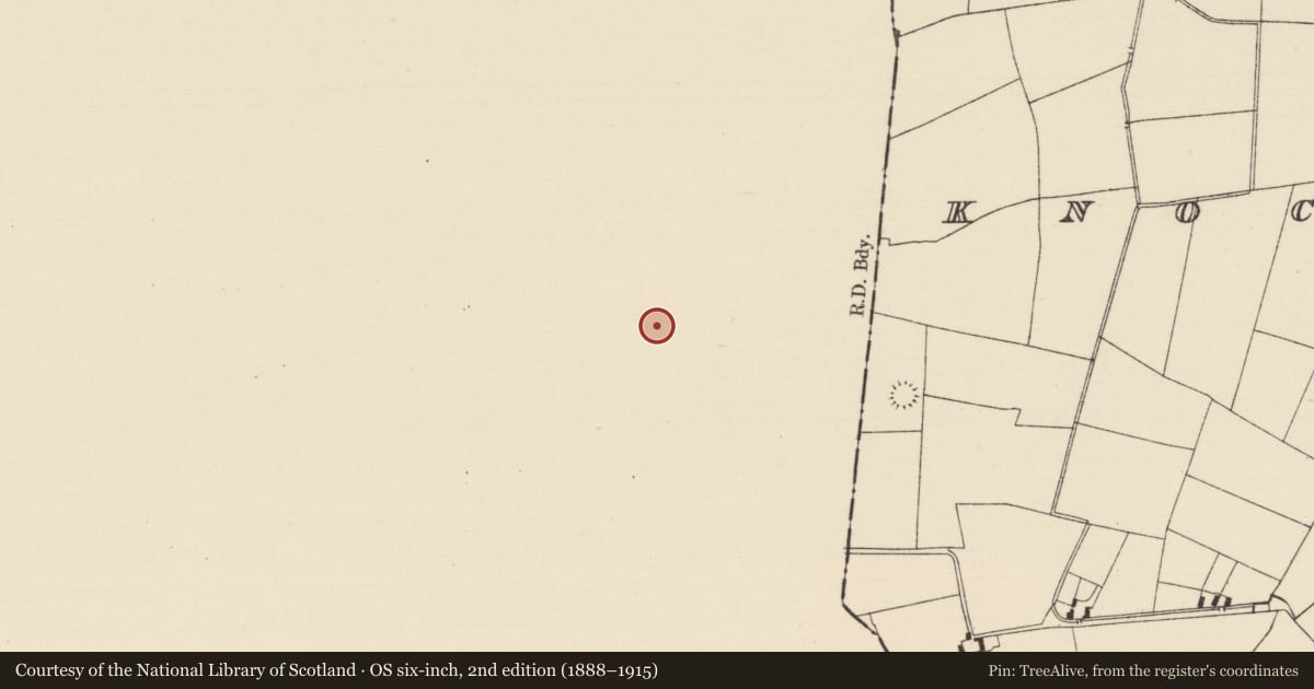 Ordnance Survey six-inch map, 2nd edition (1888–1915) covering the location of Earthwork, Moanahila, County Limerick, with a pin at the register's coordinates