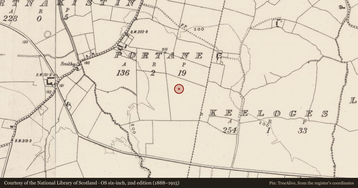 Ordnance Survey six-inch map, 2nd edition (1888–1915) covering the location of Barrow - ring-barrow, Portane, County Limerick, with a pin at the register's coordinates