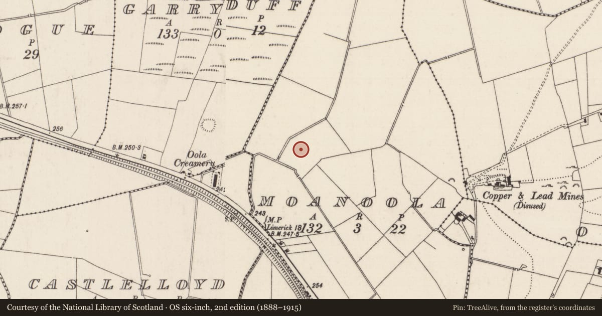Ordnance Survey six-inch map, 2nd edition (1888–1915) covering the location of Barrow - ring-barrow, Moanoola, County Limerick, with a pin at the register's coordinates