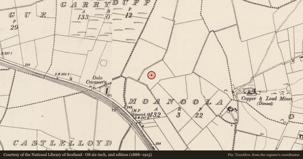 Ordnance Survey six-inch map, 2nd edition (1888–1915) covering the location of Barrow - ring-barrow, Moanoola, County Limerick, with a pin at the register's coordinates