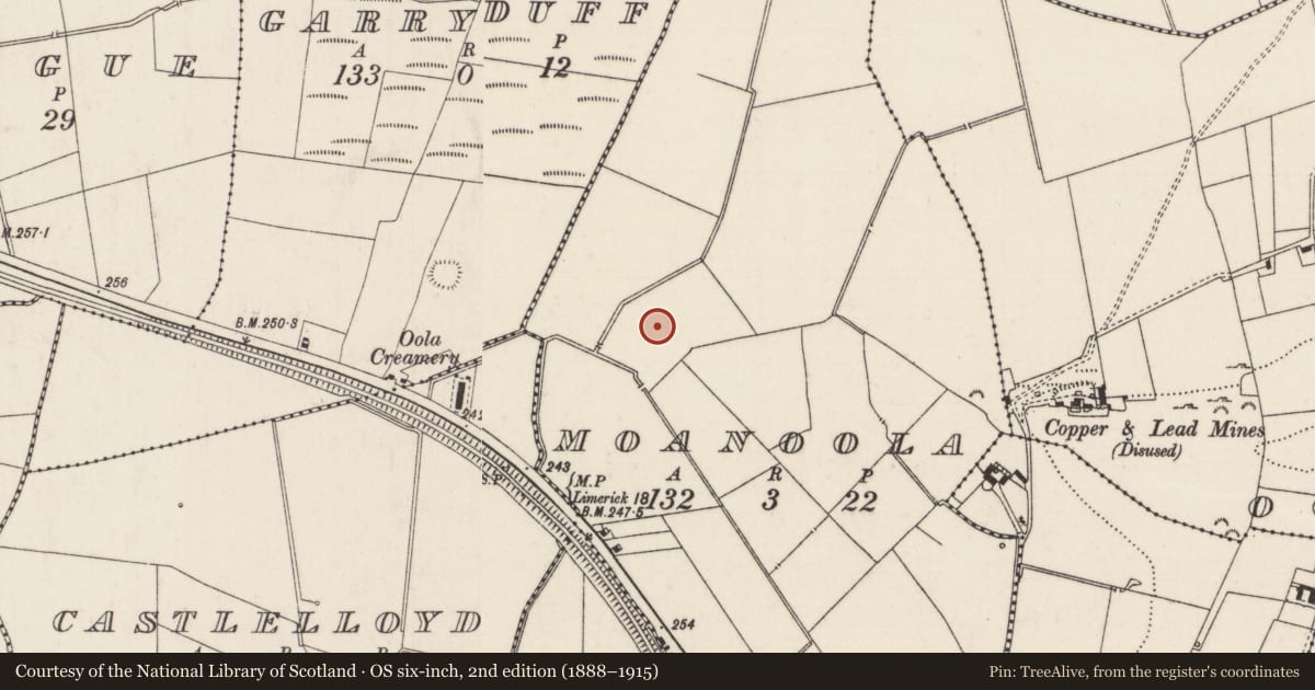 Ordnance Survey six-inch map, 2nd edition (1888–1915) covering the location of Barrow - ring-barrow, Moanoola, County Limerick, with a pin at the register's coordinates