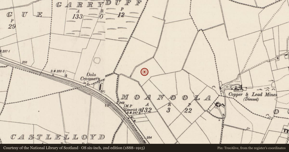 Ordnance Survey six-inch map, 2nd edition (1888–1915) covering the location of Barrow - ring-barrow, Moanoola, County Limerick, with a pin at the register's coordinates