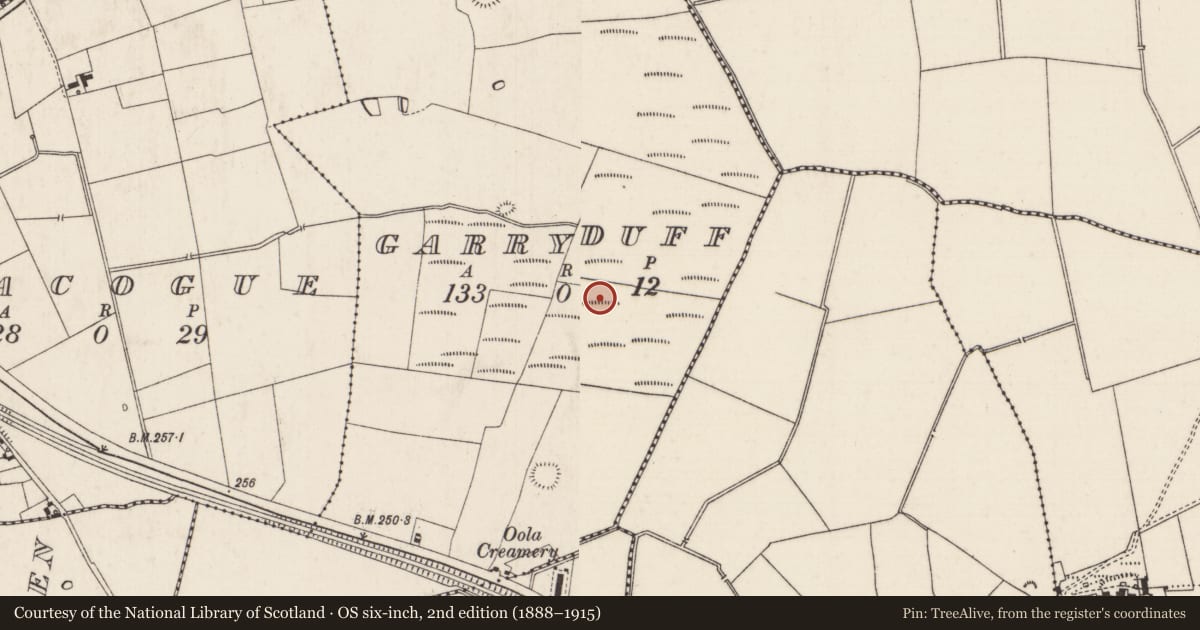 Ordnance Survey six-inch map, 2nd edition (1888–1915) covering the location of Barrow - ring-barrow, Garryduff, County Limerick, with a pin at the register's coordinates