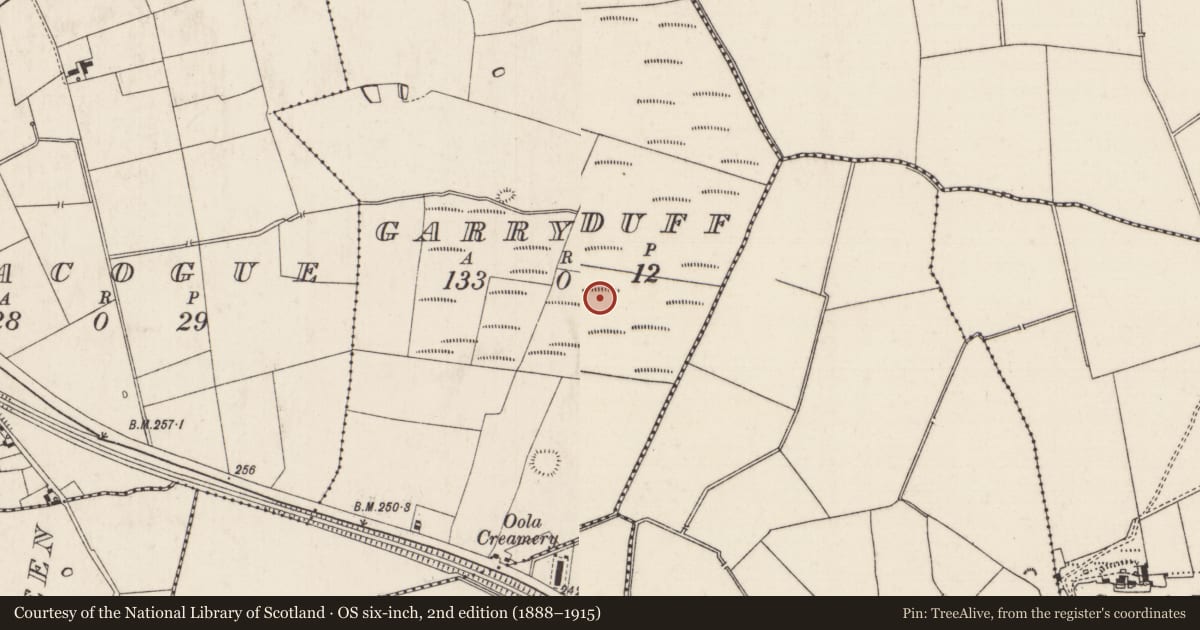 Ordnance Survey six-inch map, 2nd edition (1888–1915) covering the location of Barrow - ring-barrow, Garryduff, County Limerick, with a pin at the register's coordinates